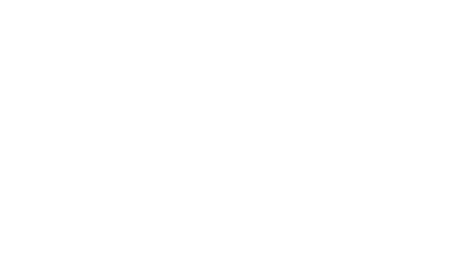 Logo DFA